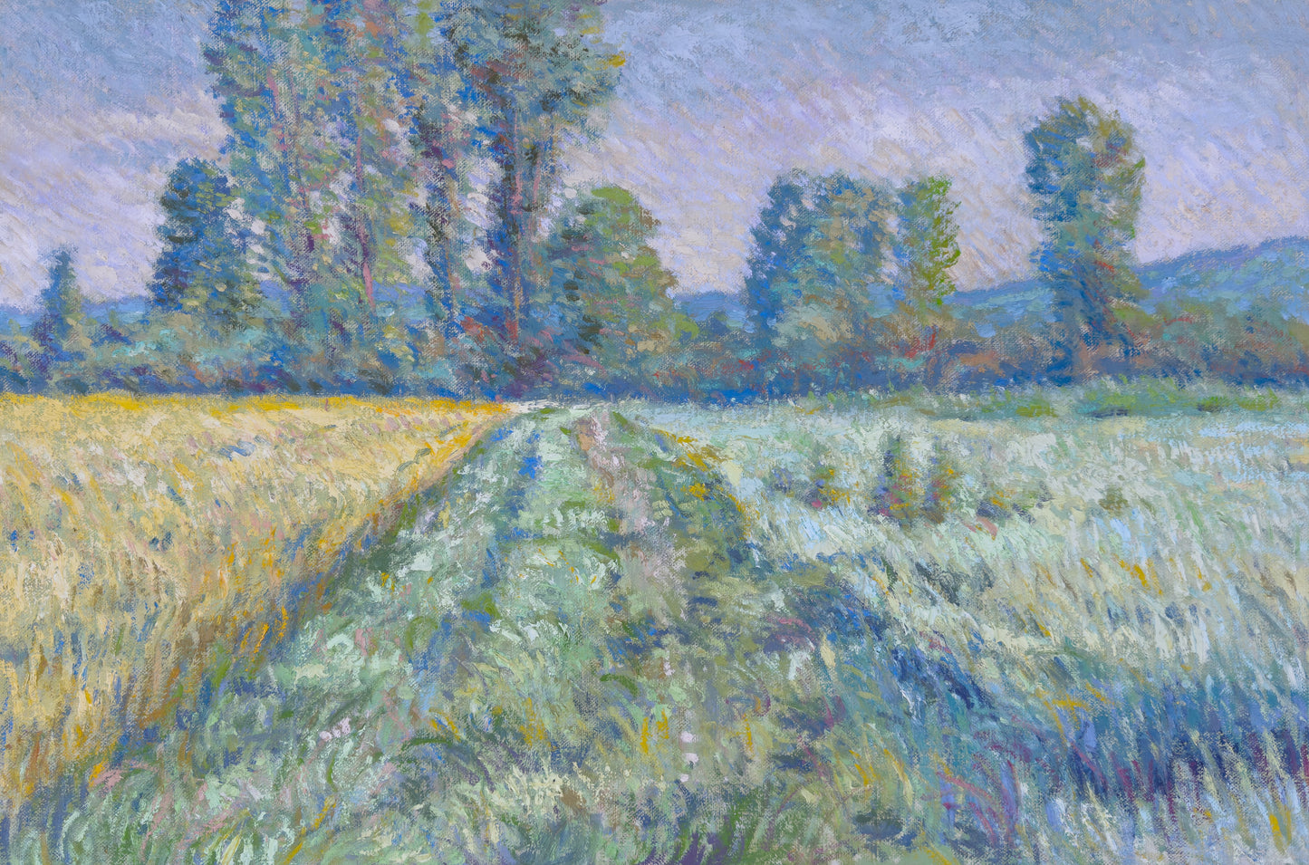 'Meadow with Trees at Sunset. Giverny'